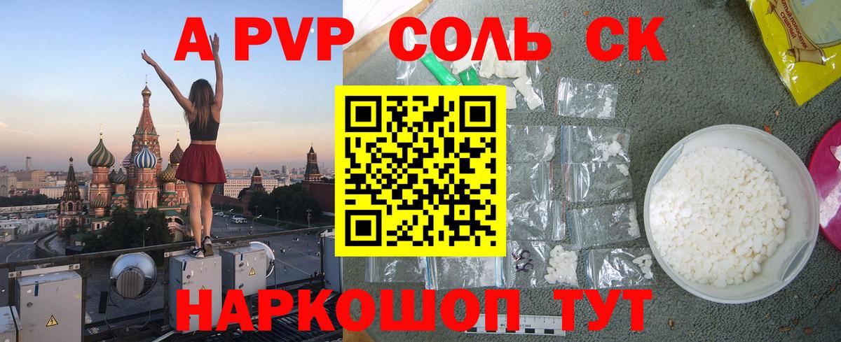 Альфа ПВП СК Махачкала