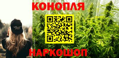 гашик Кунгур