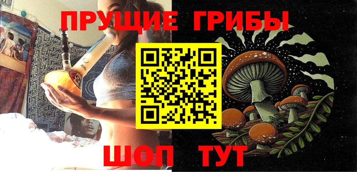 Псилоцибиновые грибы Psilocybe Махачкала
